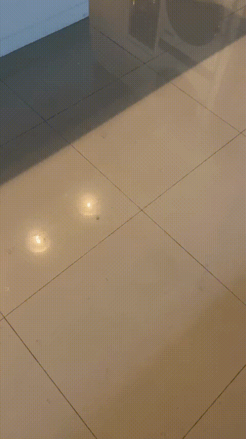 🧼 Trapero Mopa Plano con Cubo Escurridor